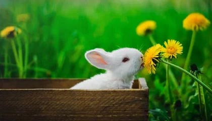 爱游戏下载-冬季重赛决定争冠球队与降级球队未来走势，冬季赛事项目